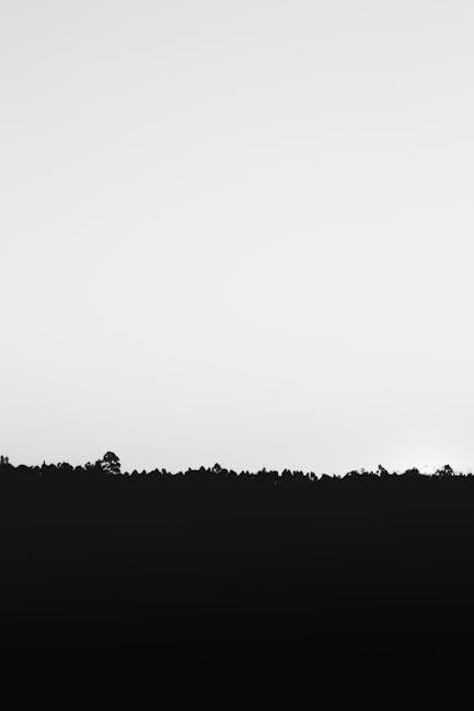 Monochrome silhouette of a forest skyline