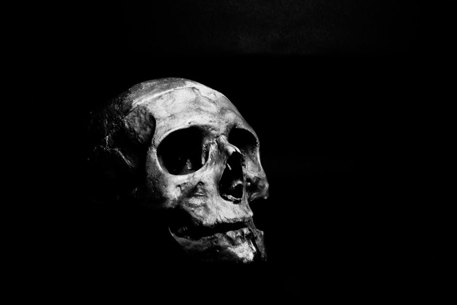 Human skull against a black background