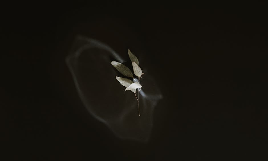 Small green leaves in minimalist dark setting